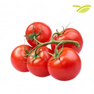 tomate fraiche